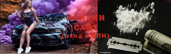 ПСИЛОЦИБИНОВЫЕ ГРИБЫ Белоозёрский