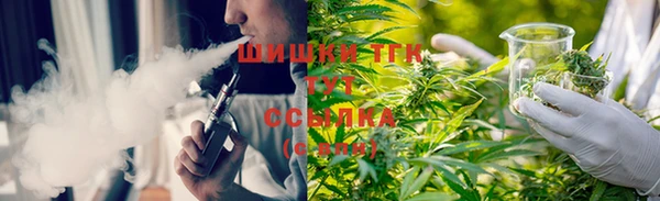 мяу мяу мука Белокуриха