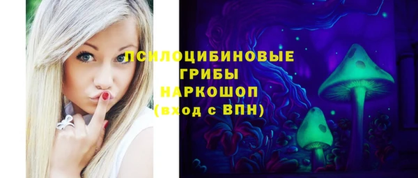 эйфоретик Кропоткин