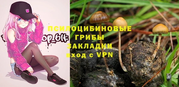 мяу мяу мука Белокуриха