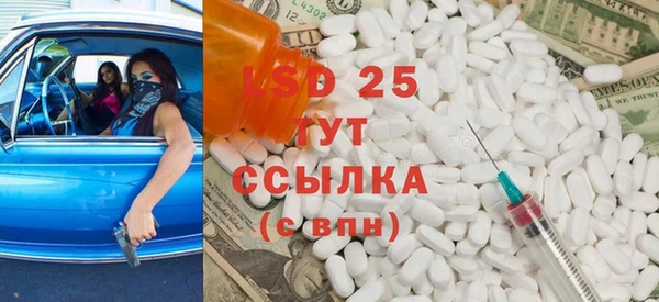 ПСИЛОЦИБИНОВЫЕ ГРИБЫ Белоозёрский