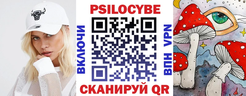 сколько стоит  Кулебаки  Галлюциногенные грибы Psilocybe 